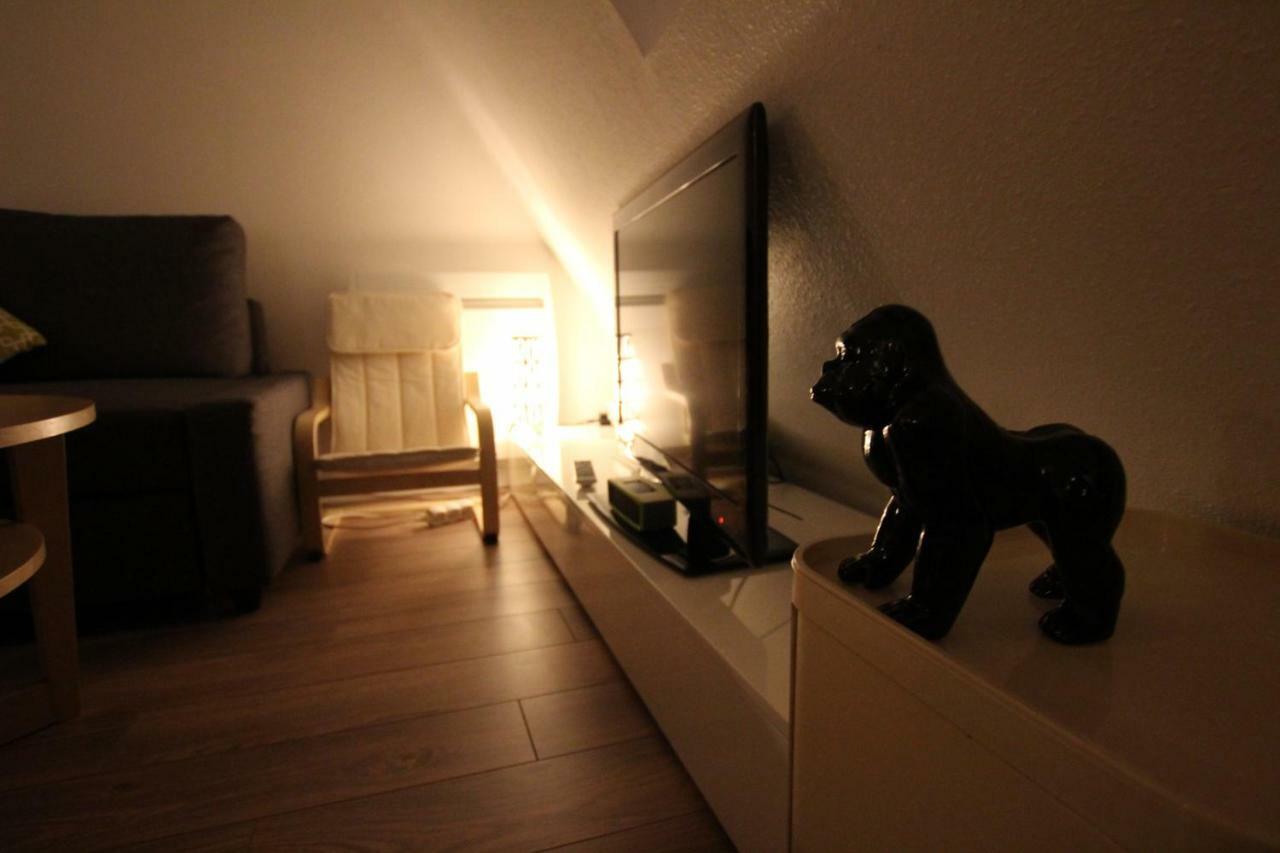 Colmar City Center - Appartement Belle-Vue 4 Etoiles المظهر الخارجي الصورة