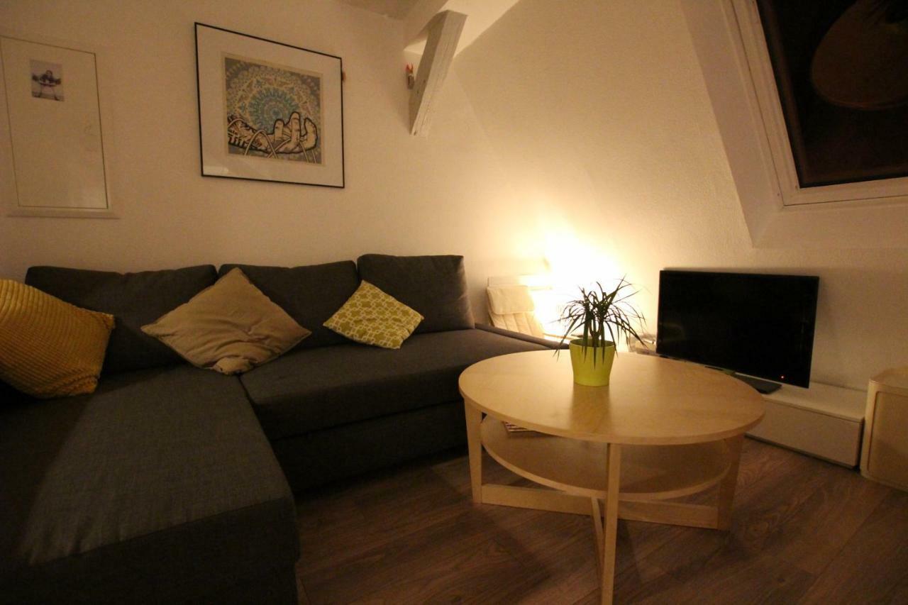 Colmar City Center - Appartement Belle-Vue 4 Etoiles المظهر الخارجي الصورة