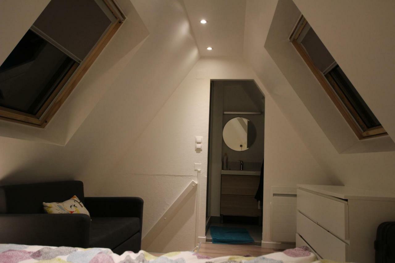 Colmar City Center - Appartement Belle-Vue 4 Etoiles المظهر الخارجي الصورة